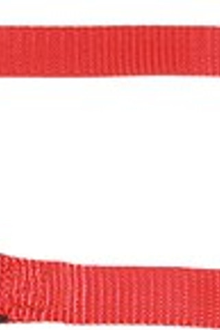 Flamingo f-521416 - Abbi Comfort Grip Nylon Dog Leash for Small Dogs