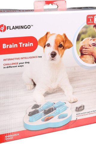 Flamingo f-521652 - Jouet Brain trainClyde Pétrol