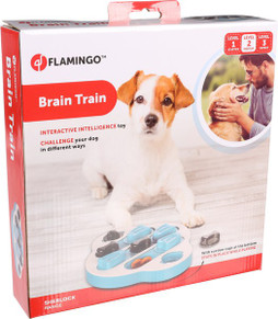 Flamingo f-521652 - Jouet Brain trainClyde Pétrol