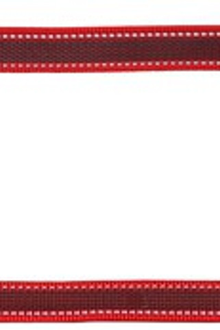 Flamingo f-522188 - Laisse dentraînement et à pister Turquoise