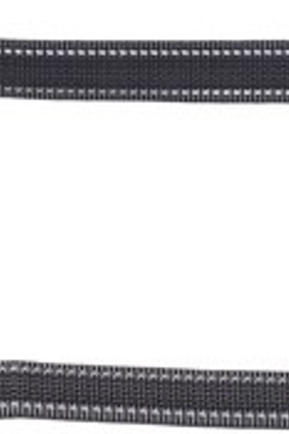 Flamingo f-522188 - Laisse dentraînement et à pister Turquoise