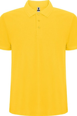 Roly R6609 - Pánská polokošile s krátkým rukávem Pegaso Premium