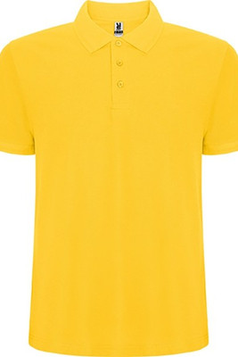 Roly R6609 - Pánská polokošile s krátkým rukávem Pegaso Premium