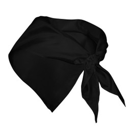 Claps 49126 - Perry Stylish Unisex Triangular Scarf