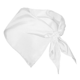 Claps 49126 - Perry Écharpe Triangulaire Unisexe Stylée