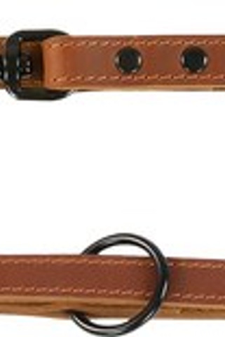Flamingo f-523294 - Laisse dentraînement Cognac