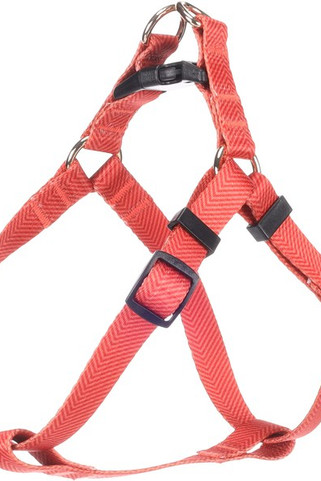 Flamingo f-523509 - Harnais Confort Ajustable Noekie Orange