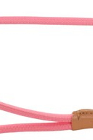 Flamingo f-523747 - Laisse Chic pour Chiot en Nylon Recyclé