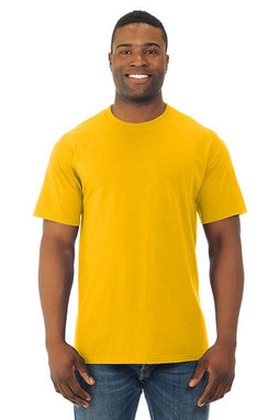 Fruit of the Loom 3900 - HD Cotton™ Classic Tee