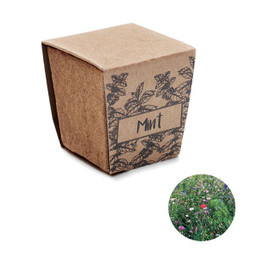 GiftRetail MO2410 - MINT KIT Kit cultivo semente de hortelã