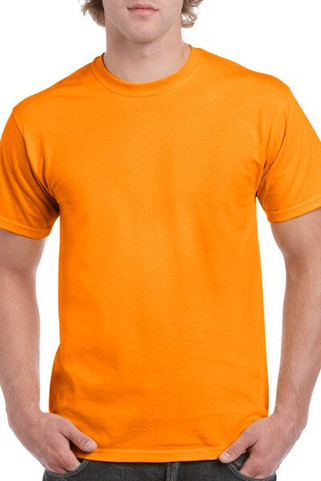 Gildan 8000 - Adult T-Shirt