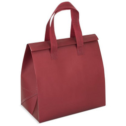 Claps 17527 - Large Thermal Bag with Aluminum Interior