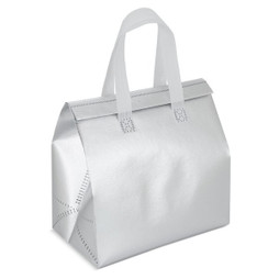 Claps 17527 - Large Thermal Bag with Aluminum Interior