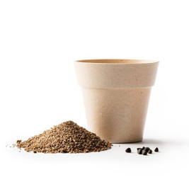 Claps 79035 - Biologisch Abbaubarer Petunientopf