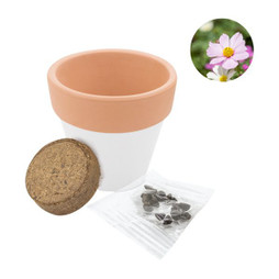 Claps 79137 - Zweifarbiger Blumentopf mit Sonnenblumensamen