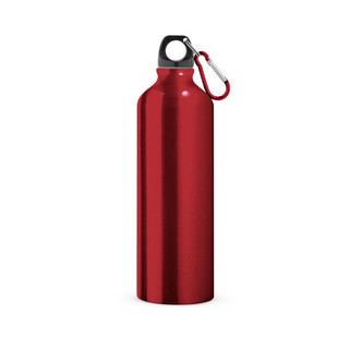 Aluminium sports bottle with carabiner 800 mL - Egotier 94688