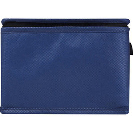 PF Concept 130082 - Spectrum 6-can recycled non-woven cooler bag 4L