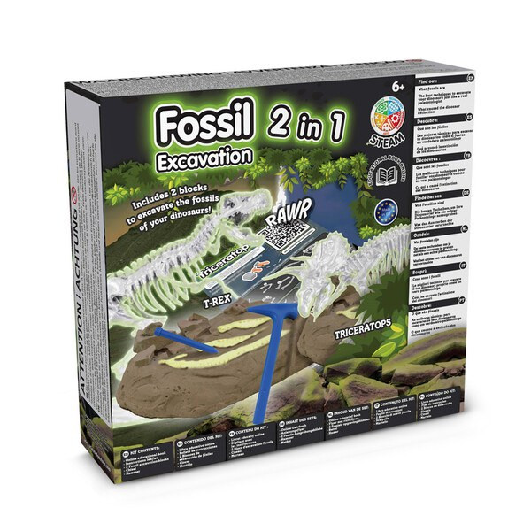 Science4You 35825 - Lærerigt spil leveres med en gavepose af papir (115 g/m²)