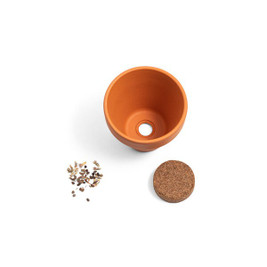 hi!dea 96127 - Clay pot with dill