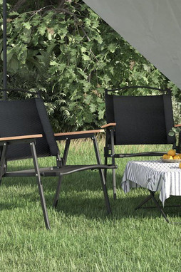 vidaXL 319485 - Chaises de camping lot de 2 54x55x78 cm Tissu Oxford