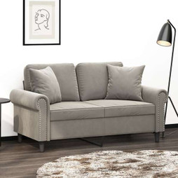 vidaXL 349485 - Coussins décoratifs 2 pcs clair 40x40 cm Velours