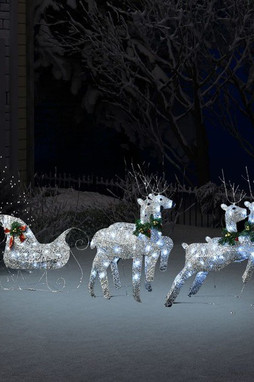 vidaXL 329832 - Décoration de Noël Rennes et traîneau 100 LED Extérieur Argenté