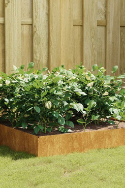 vidaXL 824515 - Lit surélevé de jardin 100x100x33,5 cm acier corten