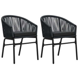 vidaXL 48135 - Chaises de jardin lot de 2 Rotin PE
