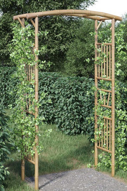 vidaXL 341746 - Arche pour rosiers Bambou 118x40x187 cm