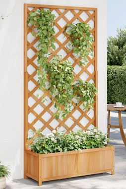 vidaXL 365479 - Jardinière avec treillis marron bois massif de sapin