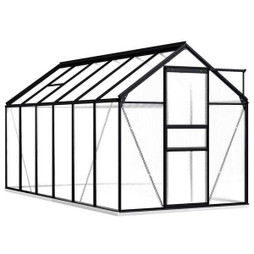 vidaXL 48218 - Serre avec cadre de base Aluminium 7,03 m²