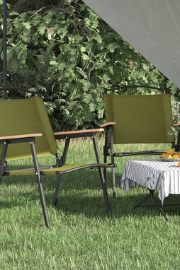 vidaXL 319486 - Chaises de camping lot de 2 54x55x78 cm Tissu Oxford
