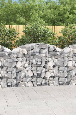 vidaXL 153455 - Panier de gabions arqué 150x50x100/120 cm Fer galvanisé