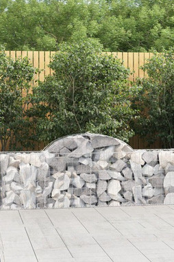 vidaXL 153483 - Panier de gabions arqué 200x30x60/80 cm Fer galvanisé
