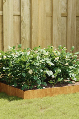 vidaXL 824514 - Lit surélevé de jardin 100x100x26 cm acier corten