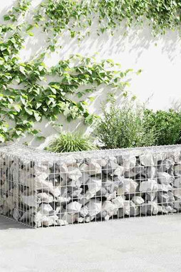 vidaXL 142549 - Panier de gabion Acier galvanisé 100x50x50 cm