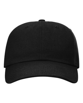 Richardson 254RE - Sustainable Ashland Dad Hat