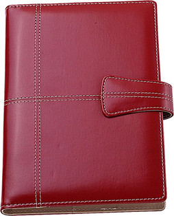 Silan 0217 - 0217 Daily Diary