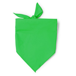 Silan 0852 - 0852 TESEA - Bandana

0852 TESEA - Bandana