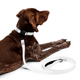 Pet Collar & Leash - Egotier 750