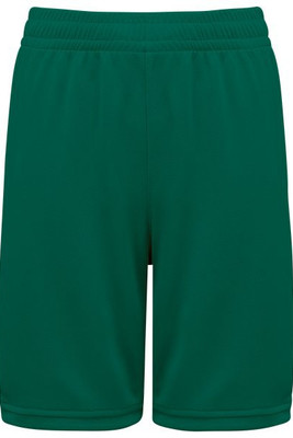 PROACT PA1050 - Mens basketball shorts