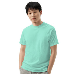Comfort Colors 1717 - Unisex Garment-Dyed Heavyweight T-Shirt