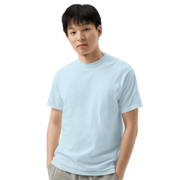 Comfort Colors 1717 - Unisex Garment-Dyed Heavyweight T-Shirt