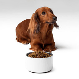Pet Bowl 18 oz - Egotier 678-16785