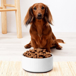 Pet Bowl 32 oz - Egotier 678-16786