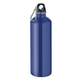RE-ONE MOSS Bouteille à simple paroi 1L - GiftRetail MO2829
