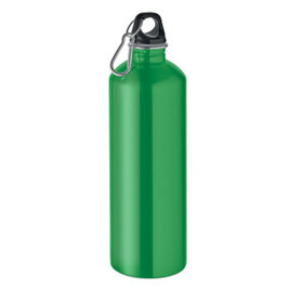 RE-ONE MOSS Einwandige Trinkflasche 1000ml - GiftRetail MO2829