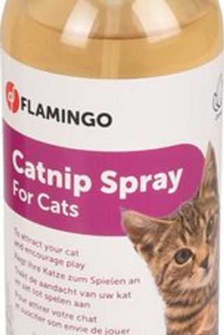 Flamingo f-39469 - Appât Premium CareHerbe-aux-chats