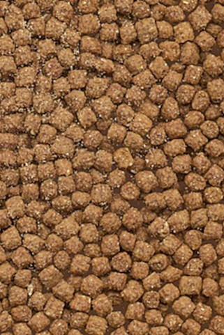 Flamingo f-404023 - Nourriture