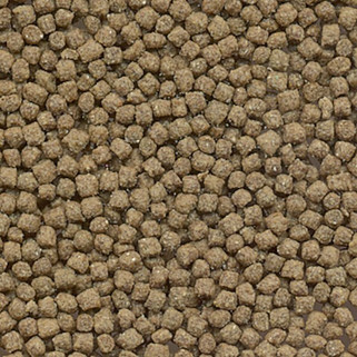 Flamingo f-404028 - Nourriture